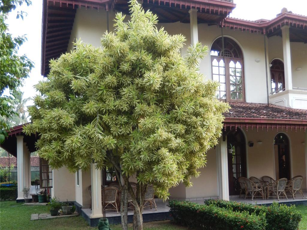 Villa Ranmenika Ahungalla Zewnętrze zdjęcie
